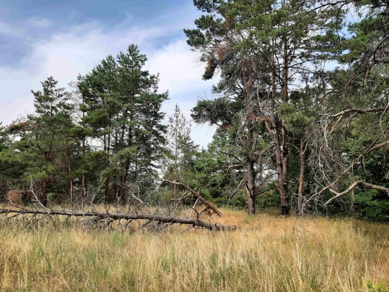 Hotel gallery photo - 0