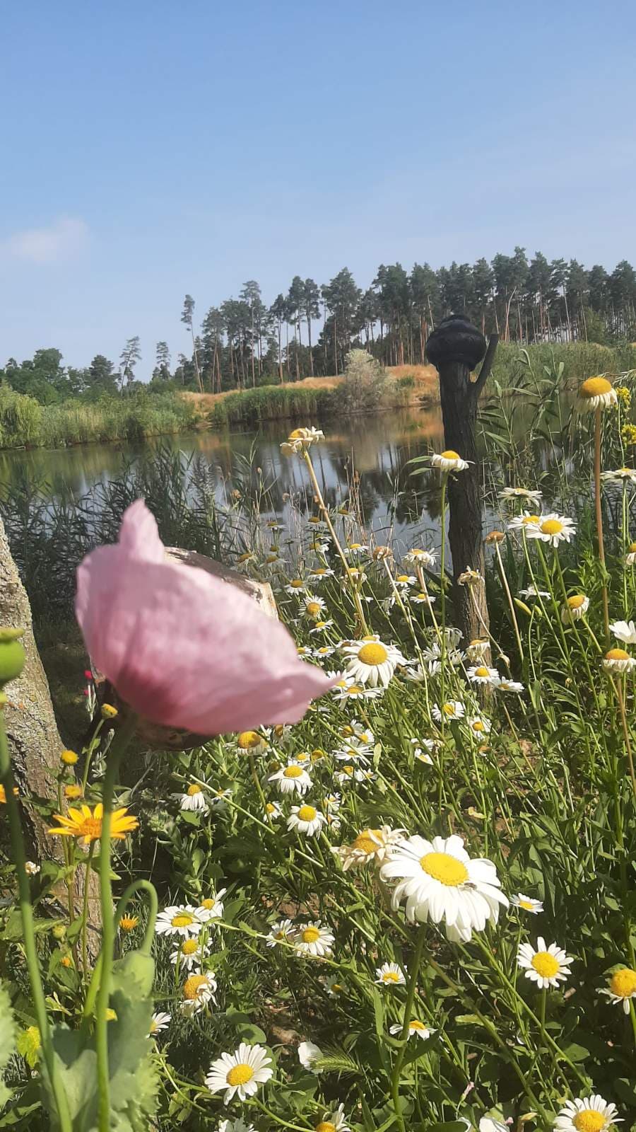 Hotel gallery photo - 3