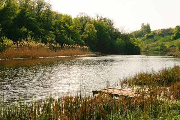 Hotel gallery photo - 2