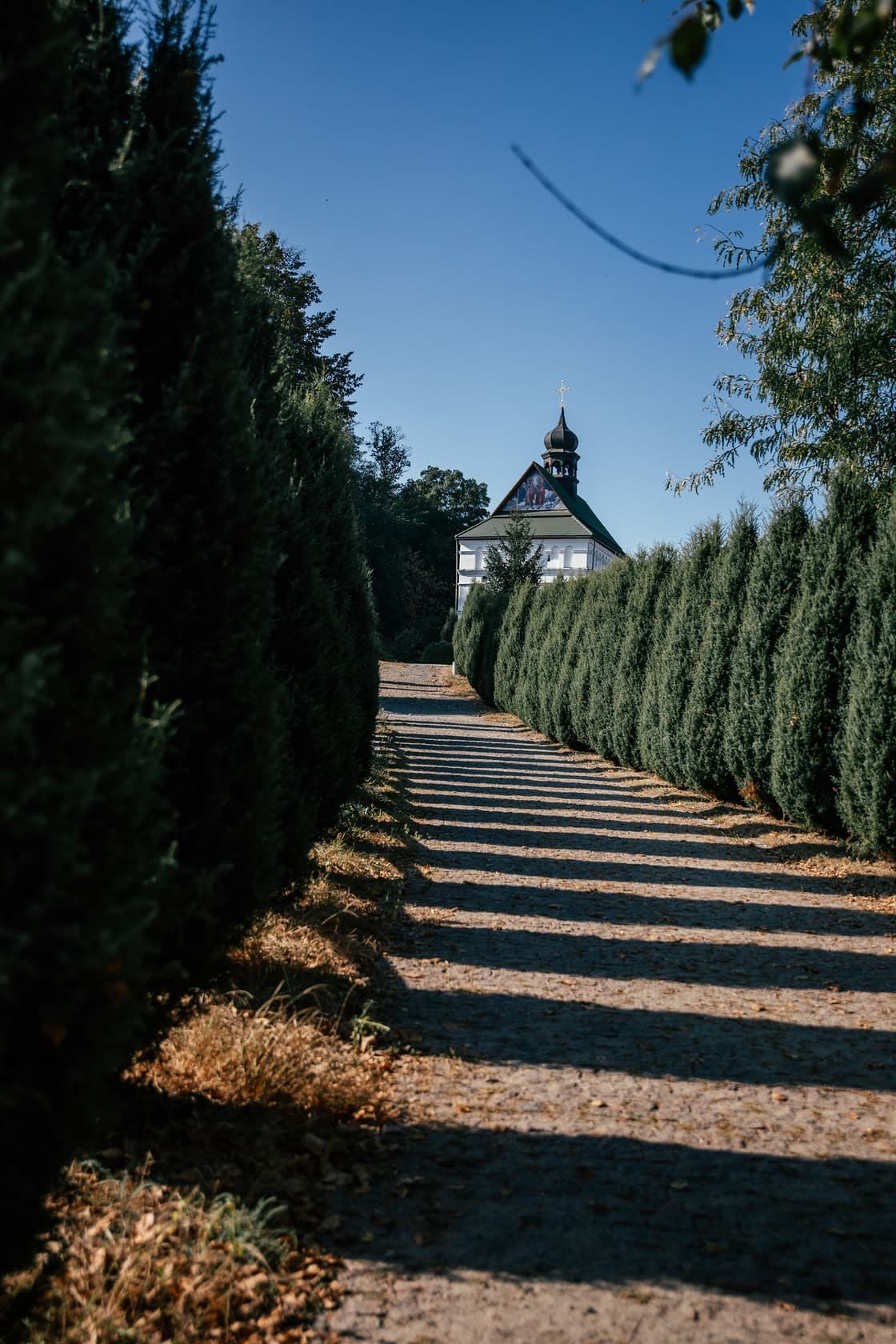 Hotel gallery photo - 10