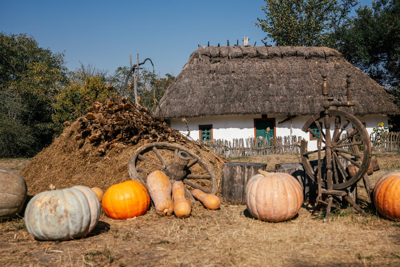 Hotel gallery photo - 13