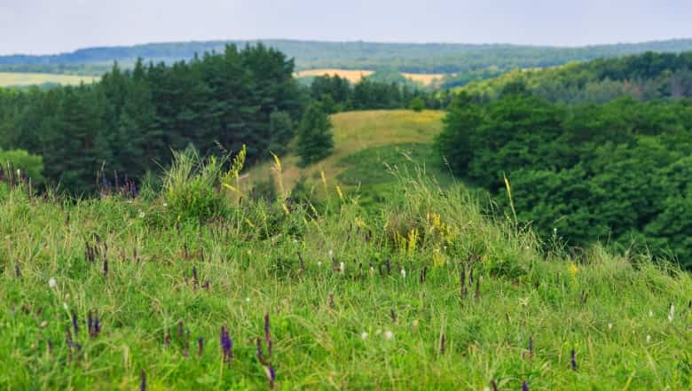 Hotel gallery photo - 1