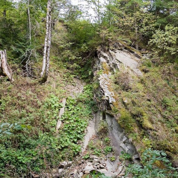 Дорога на водопад Женецкий Гук в Карпатах