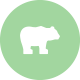 icon-bear